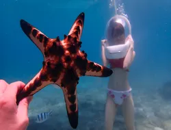 Okinawa Marine Park